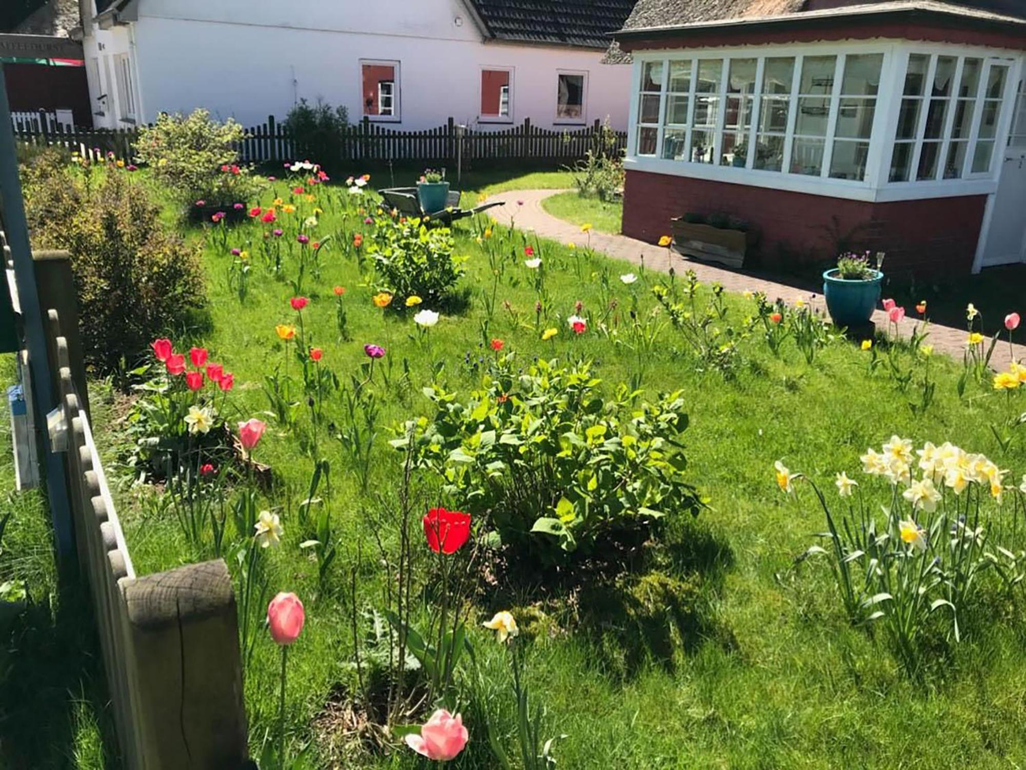 Hues Sanskiin Ferienwohnung *Aawerkant* Suddorf Bagian luar foto