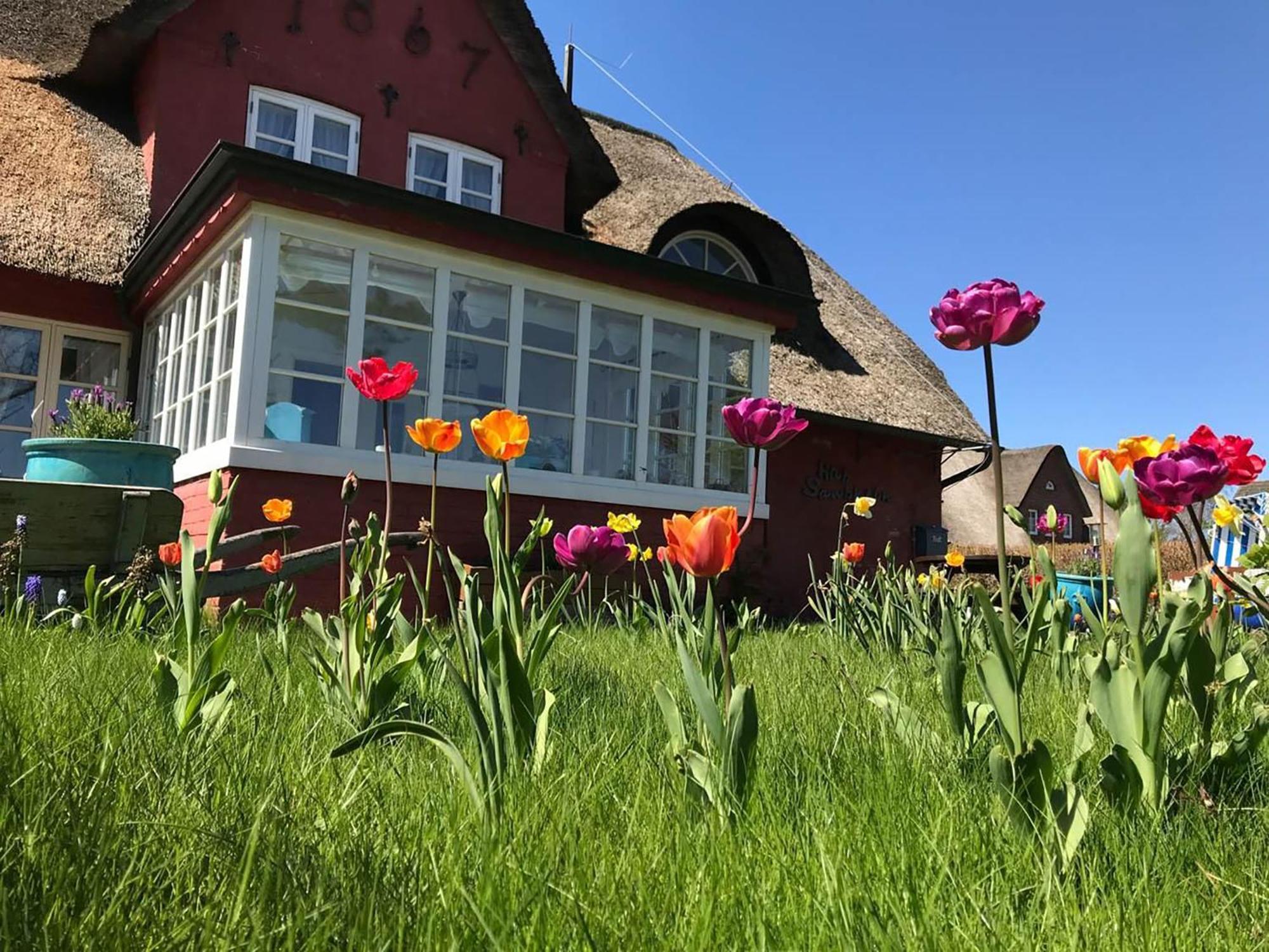 Hues Sanskiin Ferienwohnung *Aawerkant* Suddorf Bagian luar foto